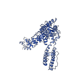 40582_8slx_B_v1-1
Rat TRPV2 bound with 1 CBD ligand in nanodiscs