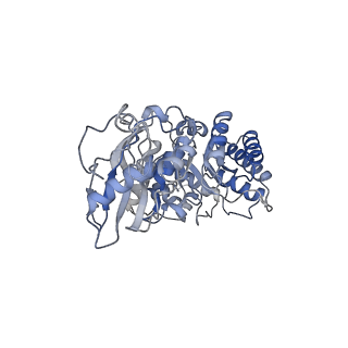 10235_6smh_H_v1-2
Cryo-electron microscopy structure of a RbcL-Raf1 supercomplex from Synechococcus elongatus PCC 7942