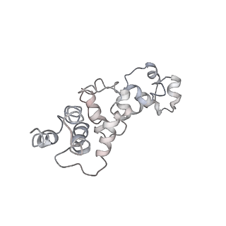 10235_6smh_K_v1-2
Cryo-electron microscopy structure of a RbcL-Raf1 supercomplex from Synechococcus elongatus PCC 7942