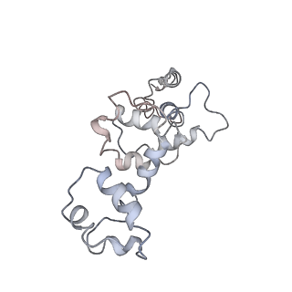 10235_6smh_O_v1-2
Cryo-electron microscopy structure of a RbcL-Raf1 supercomplex from Synechococcus elongatus PCC 7942