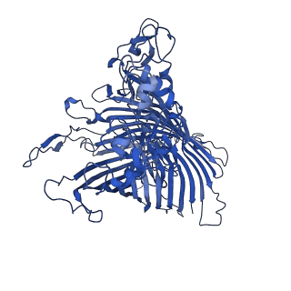 10245_6smq_B_v1-1
Structure of the RagAB peptide importer in the 'open-closed' state