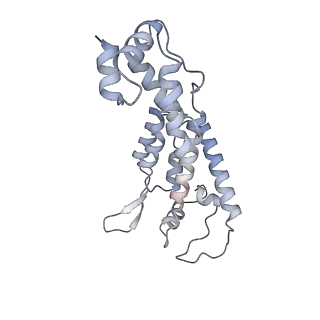 10246_6smu_A_v1-2
Structure of the native full-length HIV-1 capsid protein in helical assembly (-13,12)