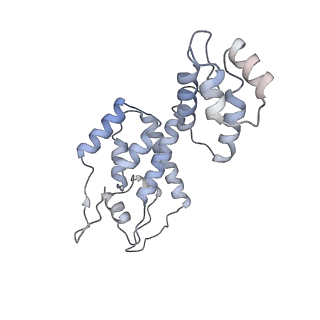 10246_6smu_B_v1-2
Structure of the native full-length HIV-1 capsid protein in helical assembly (-13,12)