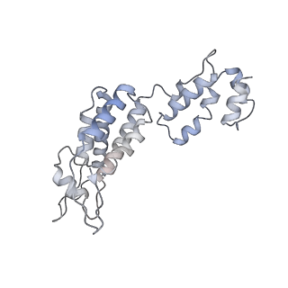 10246_6smu_C_v1-2
Structure of the native full-length HIV-1 capsid protein in helical assembly (-13,12)