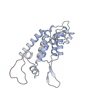 10246_6smu_D_v1-2
Structure of the native full-length HIV-1 capsid protein in helical assembly (-13,12)