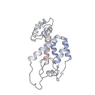 10246_6smu_E_v1-2
Structure of the native full-length HIV-1 capsid protein in helical assembly (-13,12)