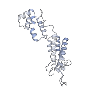 10246_6smu_F_v1-2
Structure of the native full-length HIV-1 capsid protein in helical assembly (-13,12)