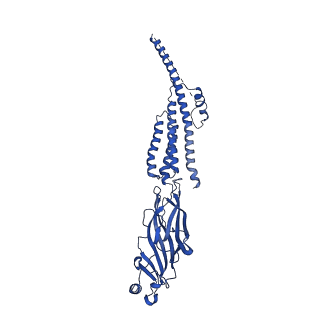25202_7smm_A_v1-2
Cryo-EM structure of Torpedo acetylcholine receptor in apo form