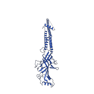 25202_7smm_B_v1-2
Cryo-EM structure of Torpedo acetylcholine receptor in apo form