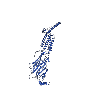 25202_7smm_C_v1-2
Cryo-EM structure of Torpedo acetylcholine receptor in apo form
