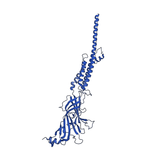 25202_7smm_E_v1-2
Cryo-EM structure of Torpedo acetylcholine receptor in apo form