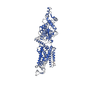 25204_7smp_B_v1-3
CryoEM structure of NKCC1 Bu-I