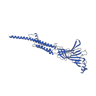 25205_7smq_A_v1-2
Cryo-EM structure of Torpedo acetylcholine receptor in apo form with added cholesterol
