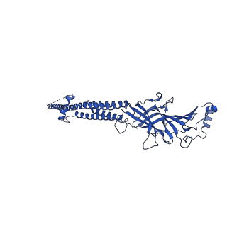 25205_7smq_C_v1-2
Cryo-EM structure of Torpedo acetylcholine receptor in apo form with added cholesterol