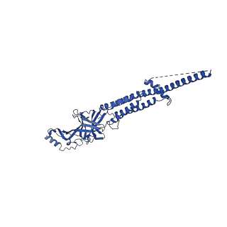 25206_7smr_C_v1-2
Cryo-EM structure of Torpedo acetylcholine receptor in complex with carbachol, desensitized state