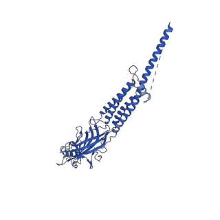25206_7smr_E_v1-2
Cryo-EM structure of Torpedo acetylcholine receptor in complex with carbachol, desensitized state