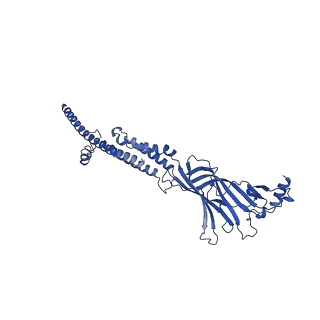 25207_7sms_A_v1-2
Cryo-EM structure of Torpedo acetylcholine receptor in complex with d-tubocurarine