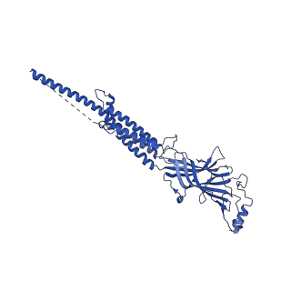 25207_7sms_C_v1-2
Cryo-EM structure of Torpedo acetylcholine receptor in complex with d-tubocurarine