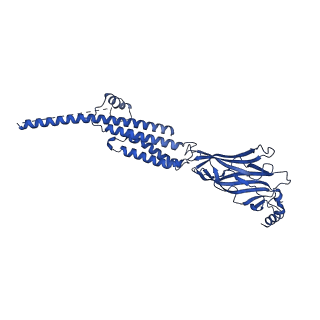 25207_7sms_D_v1-2
Cryo-EM structure of Torpedo acetylcholine receptor in complex with d-tubocurarine