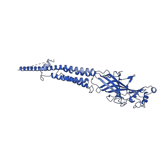 25207_7sms_E_v1-2
Cryo-EM structure of Torpedo acetylcholine receptor in complex with d-tubocurarine