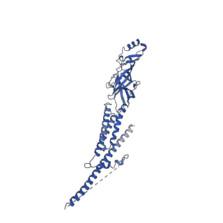 25208_7smt_A_v1-2
Cryo-EM structure of Torpedo acetylcholine receptor in complex with d-tubocurarine and carbachol