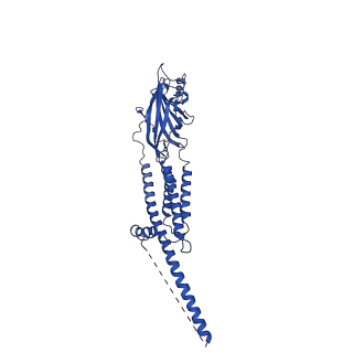 25208_7smt_C_v1-2
Cryo-EM structure of Torpedo acetylcholine receptor in complex with d-tubocurarine and carbachol