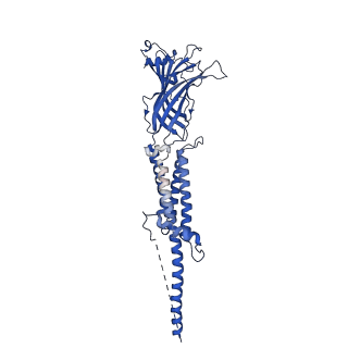 25208_7smt_D_v1-2
Cryo-EM structure of Torpedo acetylcholine receptor in complex with d-tubocurarine and carbachol