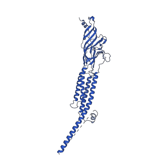 25208_7smt_E_v1-2
Cryo-EM structure of Torpedo acetylcholine receptor in complex with d-tubocurarine and carbachol