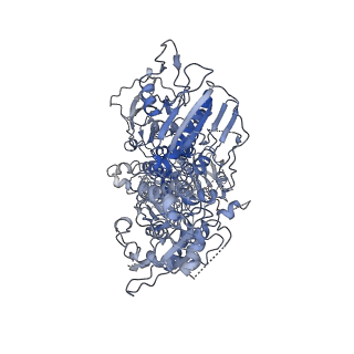 40588_8smc_C_v1-0
Cryo-EM structure of LRRK2 bound with type-I inhibitor DNL201