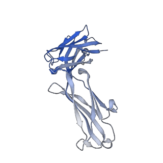 40589_8smk_B_v1-0
hPAD4 bound to Activating Fab hA362