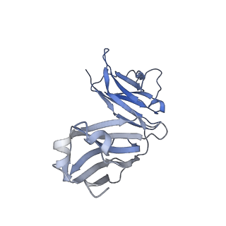 40589_8smk_C_v1-0
hPAD4 bound to Activating Fab hA362