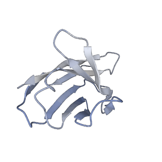 40590_8sml_B_v1-1
hPAD4 bound to inhibitory Fab hI365