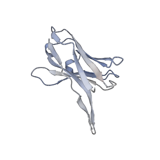 40590_8sml_C_v1-1
hPAD4 bound to inhibitory Fab hI365