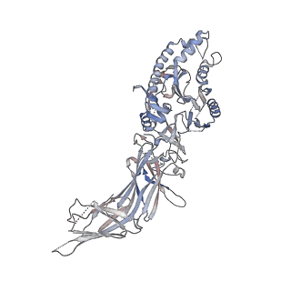 40590_8sml_D_v1-1
hPAD4 bound to inhibitory Fab hI365