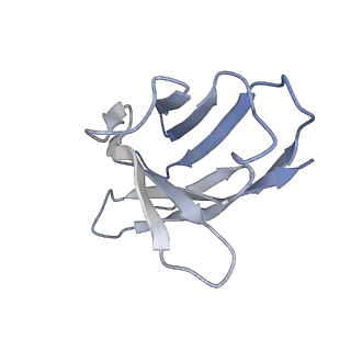 40590_8sml_E_v1-1
hPAD4 bound to inhibitory Fab hI365