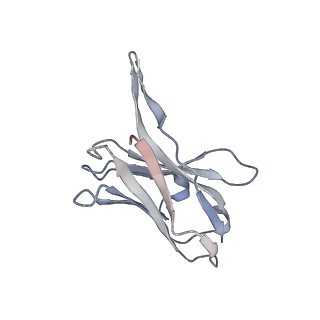 40590_8sml_F_v1-1
hPAD4 bound to inhibitory Fab hI365