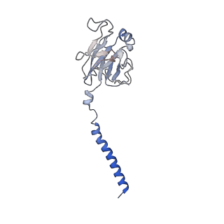 40601_8smr_C_v1-0
cytochrome bc1-cbb3 supercomplex from Pseudomonas aeruginosa