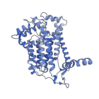 40601_8smr_D_v1-0
cytochrome bc1-cbb3 supercomplex from Pseudomonas aeruginosa