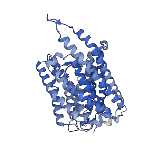 40601_8smr_E_v1-0
cytochrome bc1-cbb3 supercomplex from Pseudomonas aeruginosa
