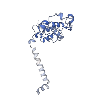 40601_8smr_F_v1-0
cytochrome bc1-cbb3 supercomplex from Pseudomonas aeruginosa