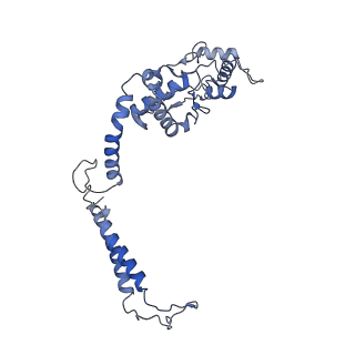40601_8smr_G_v1-0
cytochrome bc1-cbb3 supercomplex from Pseudomonas aeruginosa