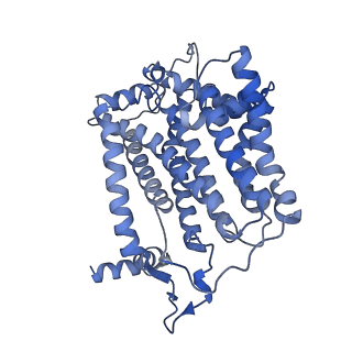 40601_8smr_I_v1-0
cytochrome bc1-cbb3 supercomplex from Pseudomonas aeruginosa