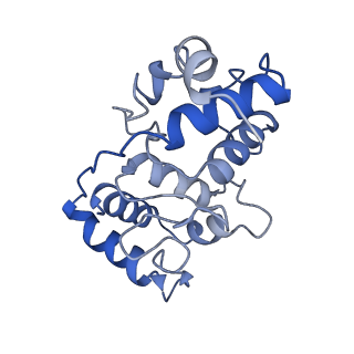 40601_8smr_K_v1-0
cytochrome bc1-cbb3 supercomplex from Pseudomonas aeruginosa