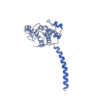 40601_8smr_M_v1-0
cytochrome bc1-cbb3 supercomplex from Pseudomonas aeruginosa