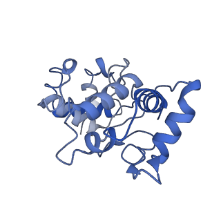 40601_8smr_N_v1-0
cytochrome bc1-cbb3 supercomplex from Pseudomonas aeruginosa