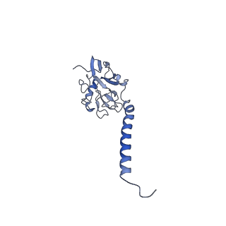 40601_8smr_Z_v1-0
cytochrome bc1-cbb3 supercomplex from Pseudomonas aeruginosa