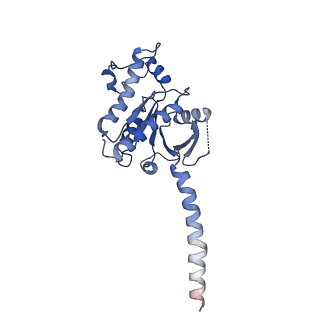 40603_8smv_A_v1-1
GPR161 Gs heterotrimer