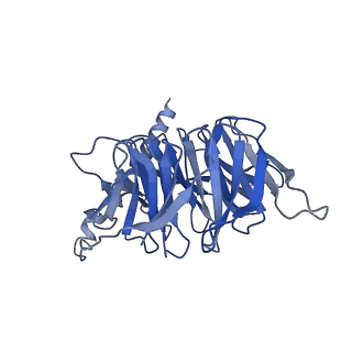 40603_8smv_B_v1-1
GPR161 Gs heterotrimer