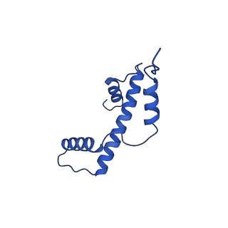 40604_8smw_A_v1-1
Cryo-EM structure of the human nucleosome core particle in complex with RNF168 and UbcH5c~Ub (UbcH5c chemically conjugated to histone H2A. No density for Ub.) (class 1)
