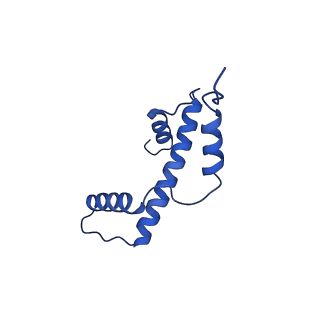 40604_8smw_A_v1-2
Cryo-EM structure of the human nucleosome core particle in complex with RNF168 and UbcH5c~Ub (UbcH5c chemically conjugated to histone H2A. No density for Ub.) (class 1)